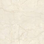 Endless Bottochino Neuvo