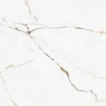 Endless Calcatta Montreal