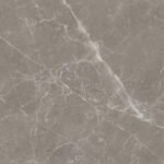 Endless Cypress Coffee