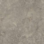 Endless William Grey